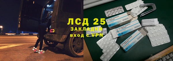 ПСИЛОЦИБИНОВЫЕ ГРИБЫ Лихославль