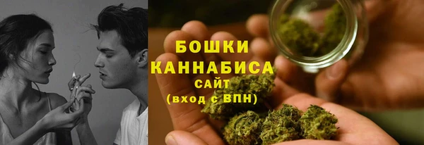 PSILOCYBIN Струнино