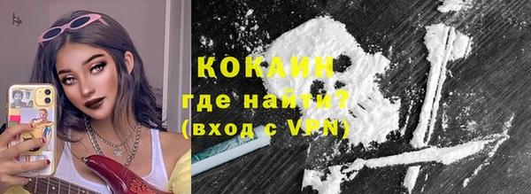 молекула духа Арсеньев