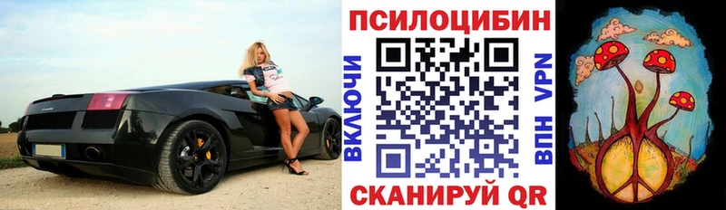 KRAKEN зеркало  Шилка  Галлюциногенные грибы Cubensis  как найти закладки 